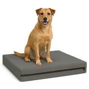 FOAMSUPA Waterproof Dog Bed – 2" Thickness, Heavy Duty Pet Mattress