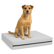FOAMSUPA Waterproof Dog Bed – 2" Thickness, Heavy Duty Pet Mattress