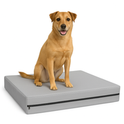 FOAMSUPA Waterproof Dog Bed – 2" Thickness, Heavy Duty Pet Mattress