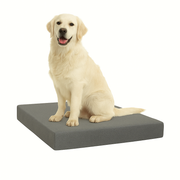 FOAMSUPA Waterproof Dog Bed – 2" Thickness, Heavy Duty Pet Mattress