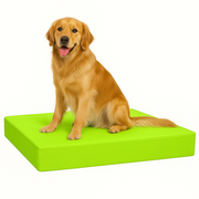 FOAMSUPA Waterproof Dog Bed – 2" Thickness, Heavy Duty Pet Mattress