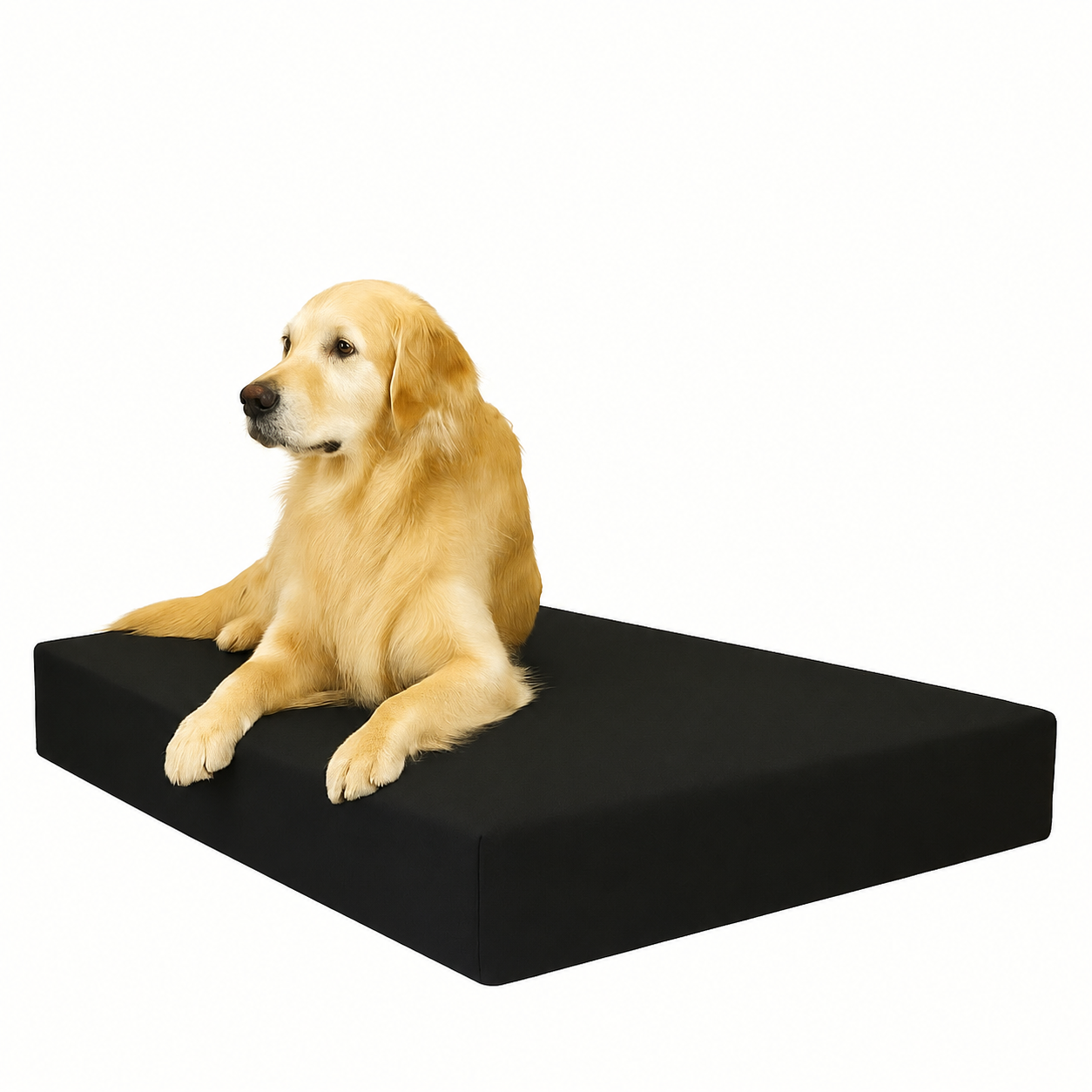 FOAMSUPA waterproof dog bed in Black